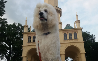 Spokojení zákazníci Krmiva u Toma